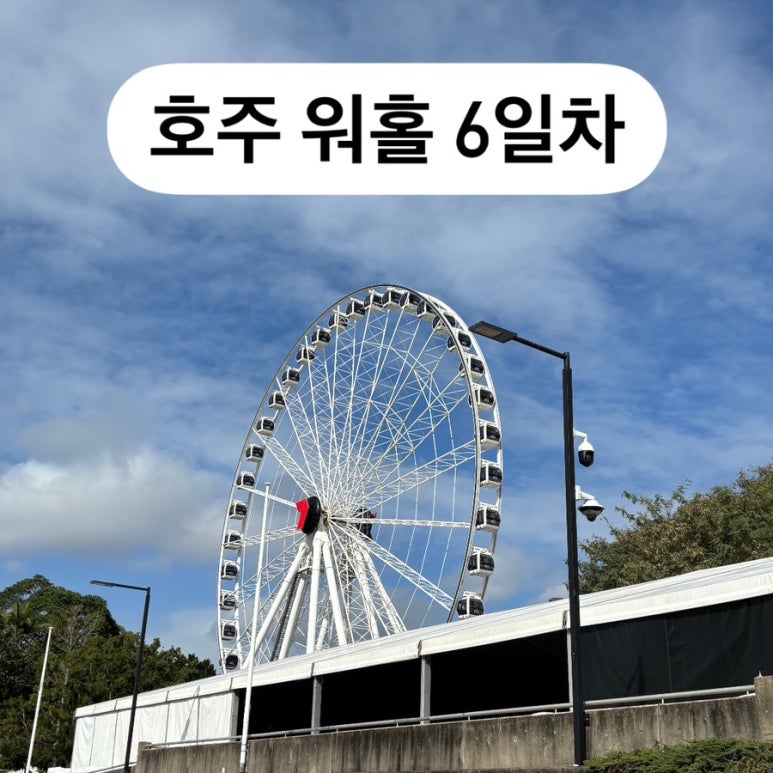 케이프레쉬(K-fresh) 이미지