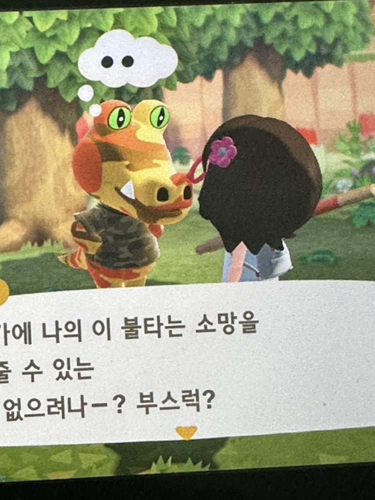 하이드온부쉬 이미지