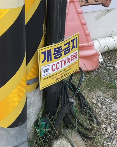 빙수당국제점 이미지