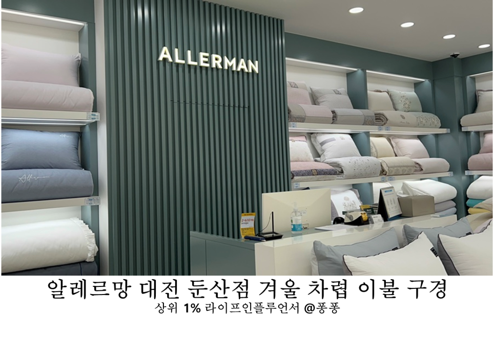 알레르망대전 이미지