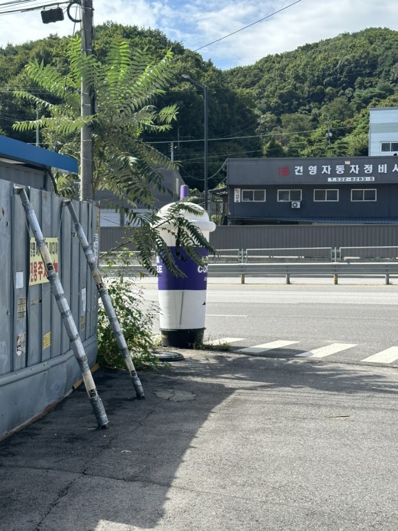 이디야내촌점 이미지