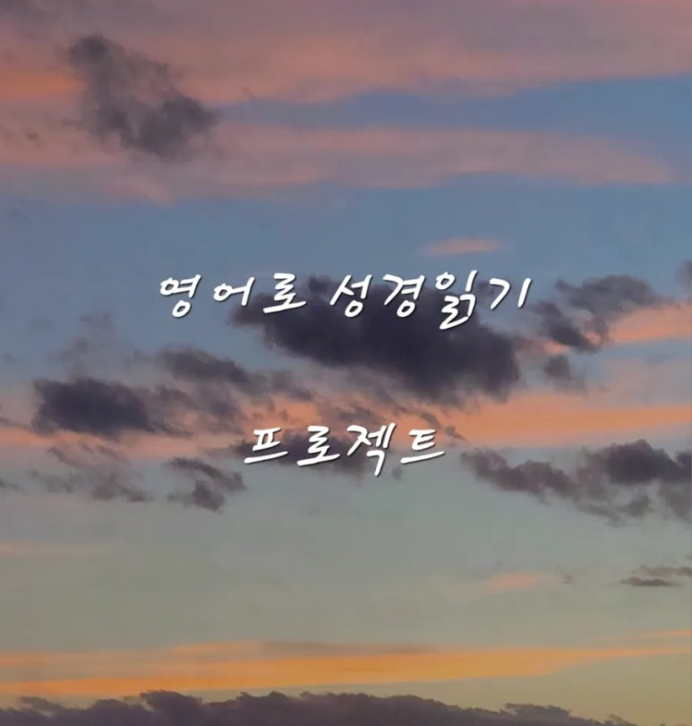 하윌라(Havilah) 이미지