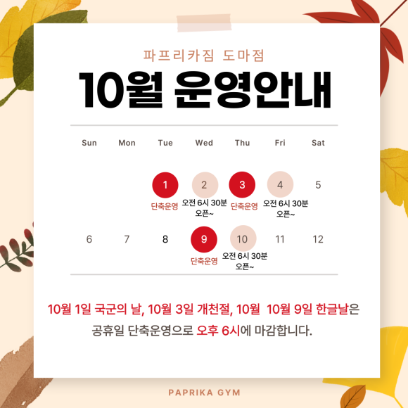 파프리카짐 이미지