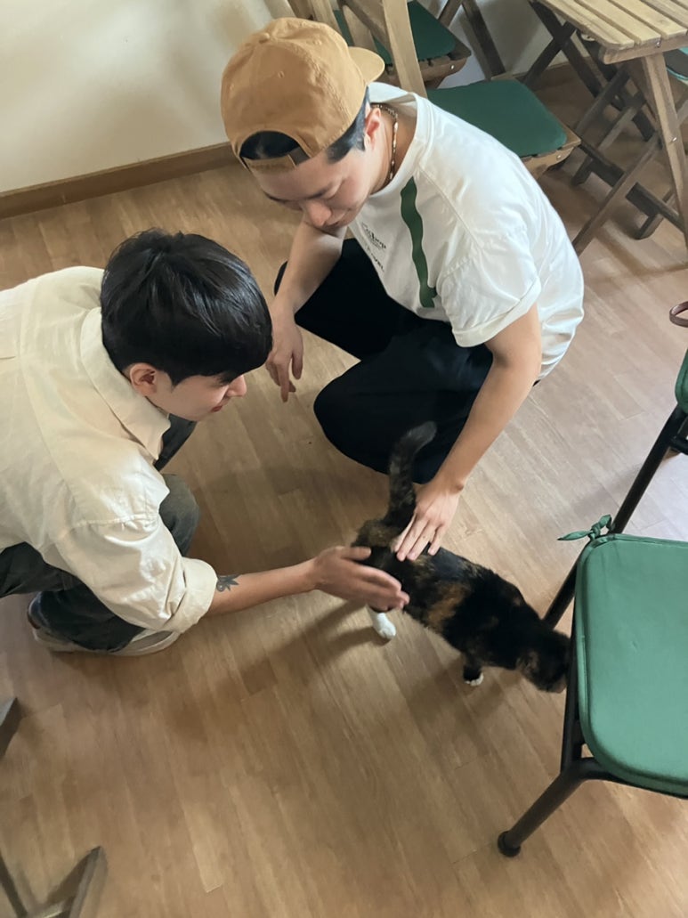 미드바르 이미지