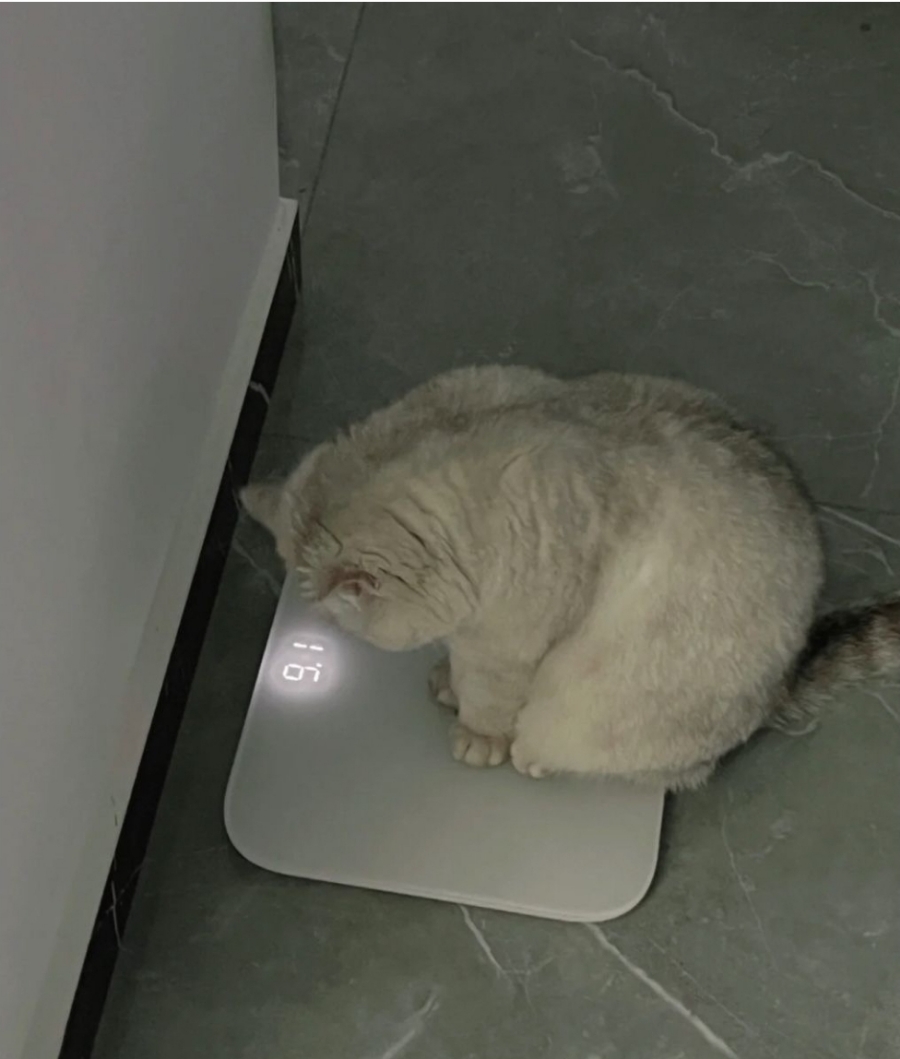 열두달키친 이미지