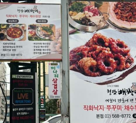 청담배짱이 이미지