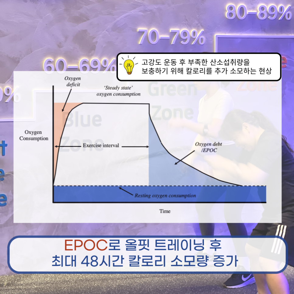 올핏ALLFIT 이미지