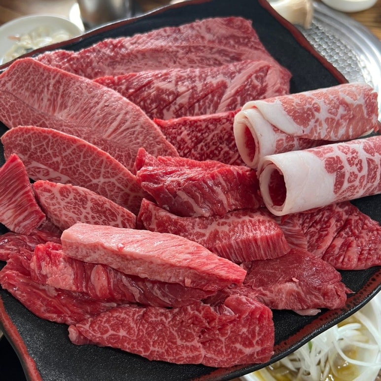 송하원 이미지