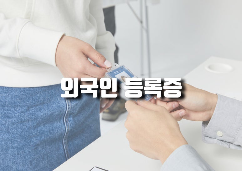 진성행정사사무소 이미지