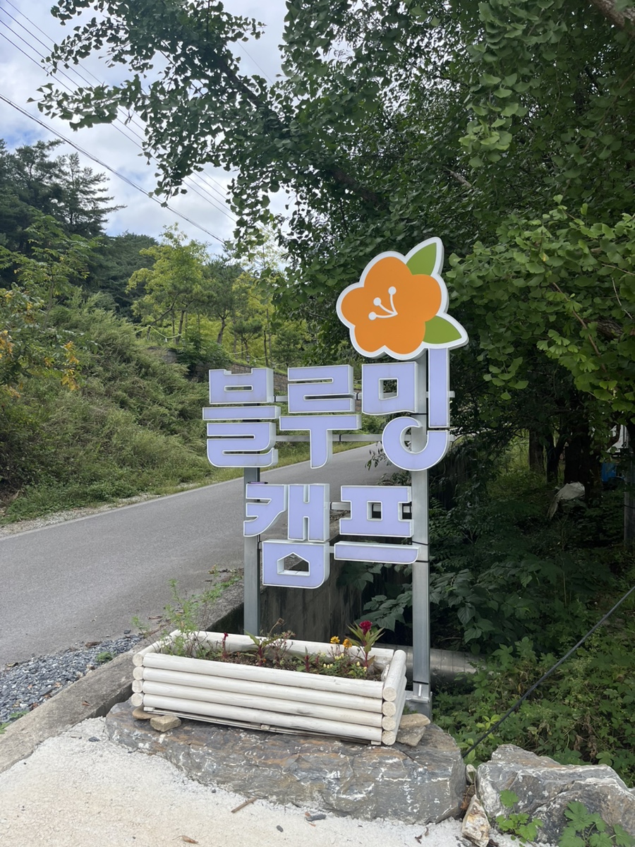 블루밍캠프 이미지