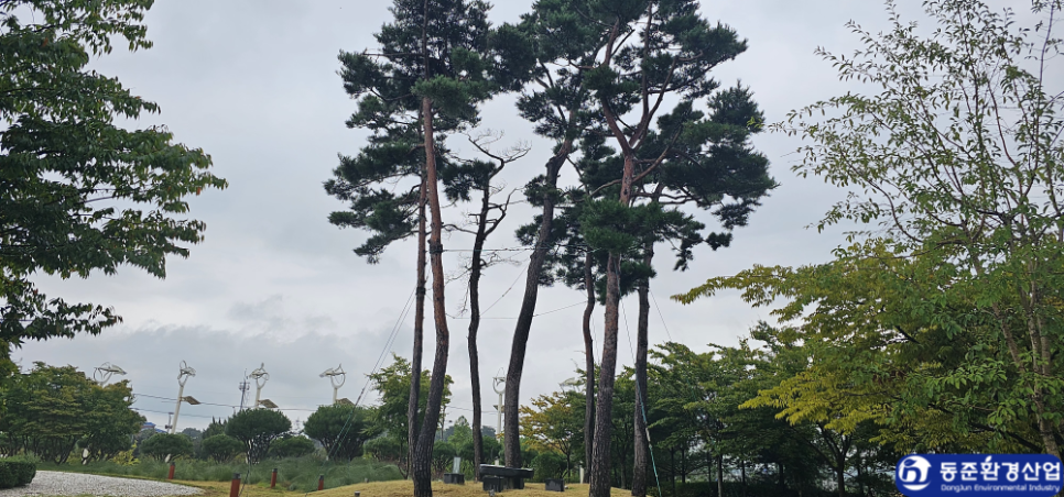 동준산업관리 이미지
