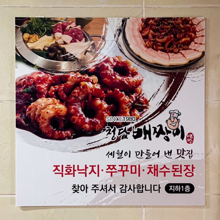 청담배짱이 이미지