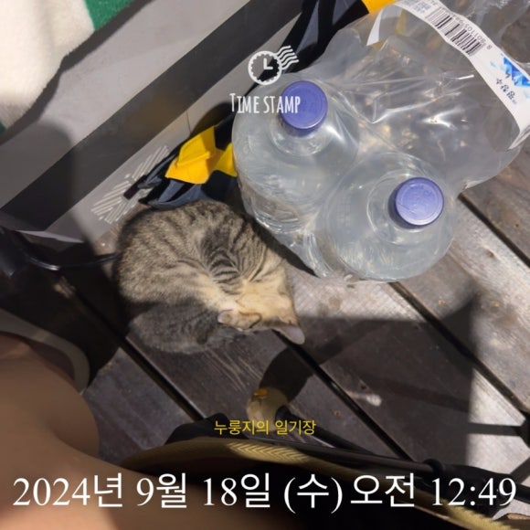 정담은 캠핑&글램핑 이미지