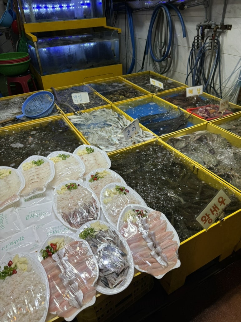 재형호 이미지
