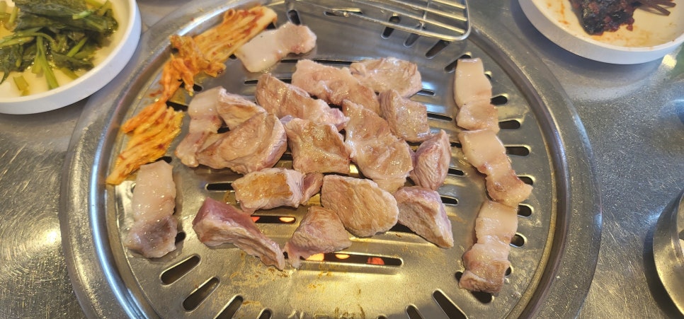 섬돼지 이미지