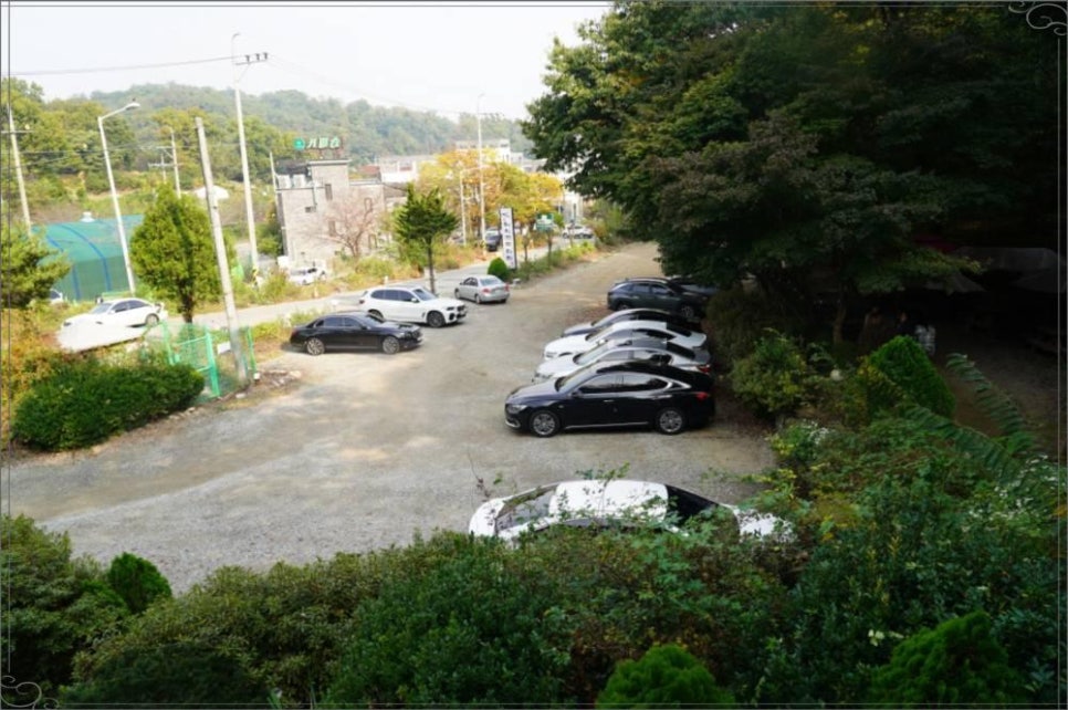 하늘 곤드레 이미지