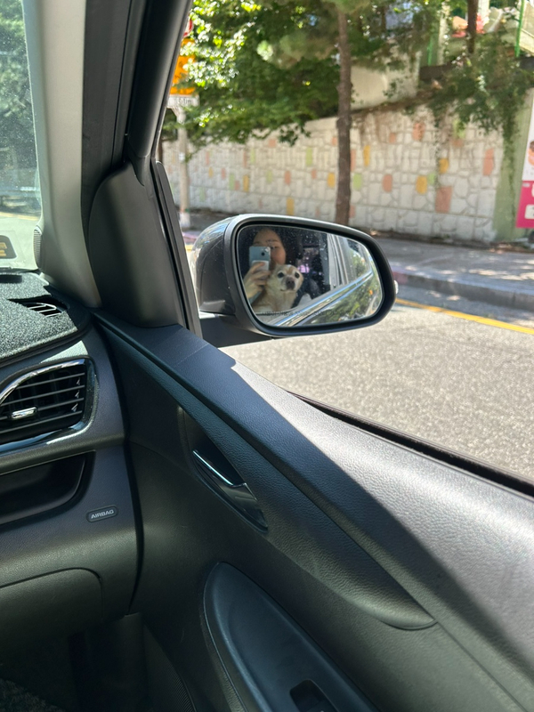 미미화컬렉션 이미지