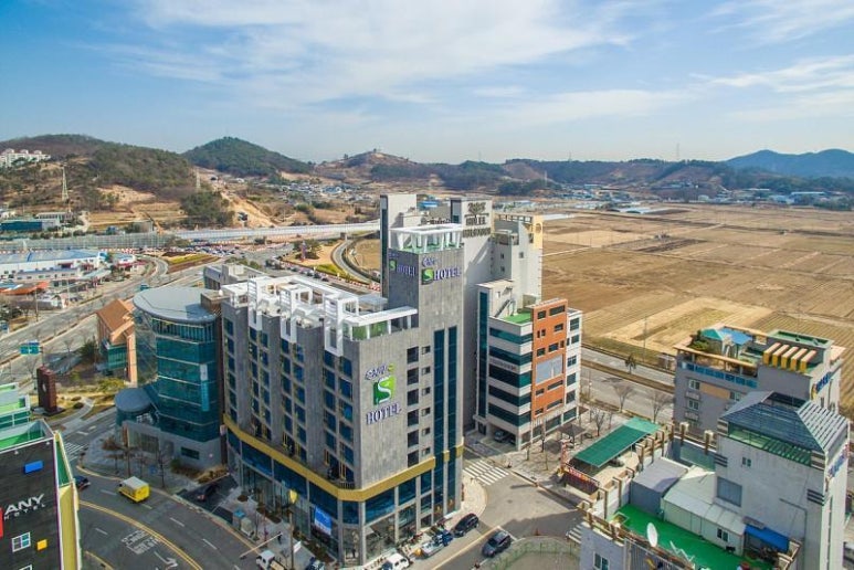 순천만 숲5 이미지