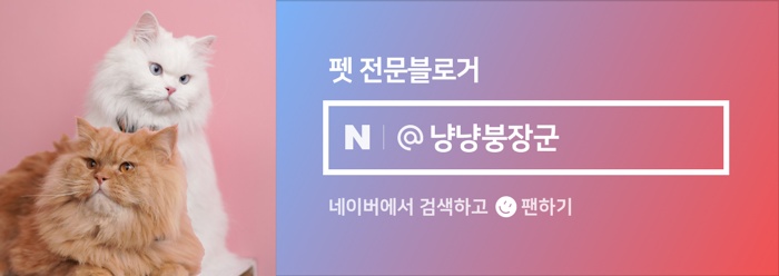 와요 방문탁묘, 강아지 돌봄 비용 및 후기 — 사진 19