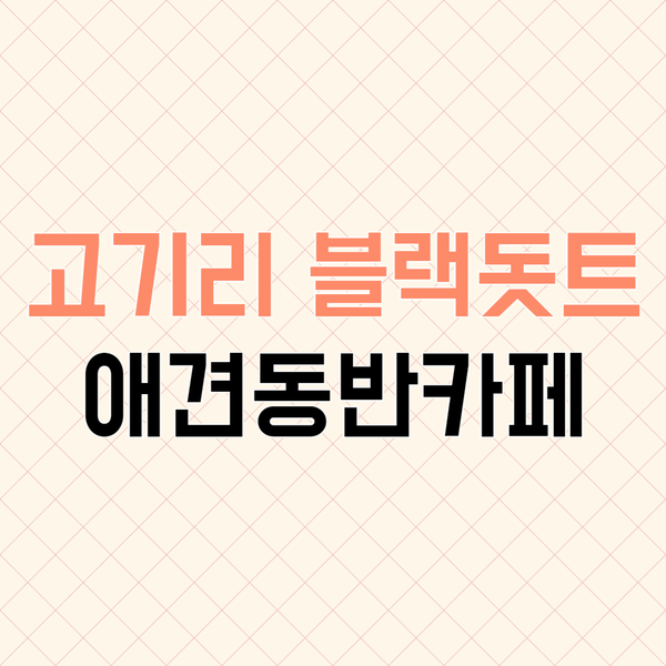 블랙돗트 이미지