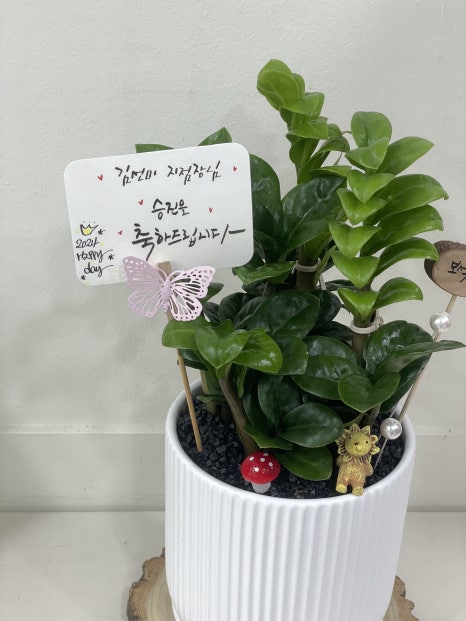 수림화원 이미지