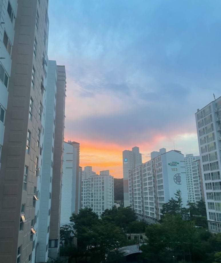 정진입주청소 이미지