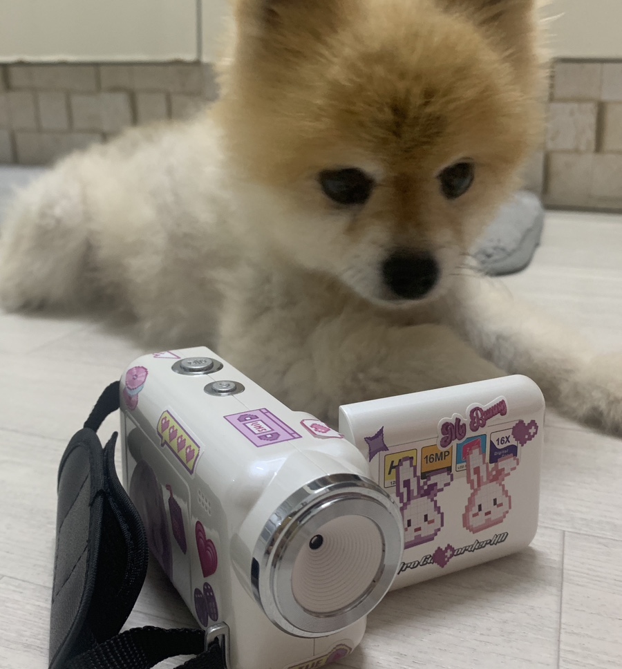 김호두 이미지