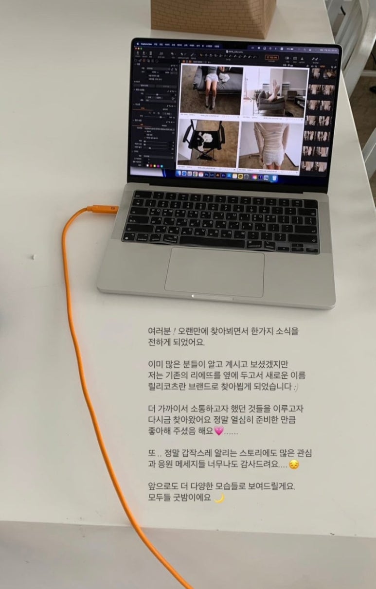 릴리코츠 이미지