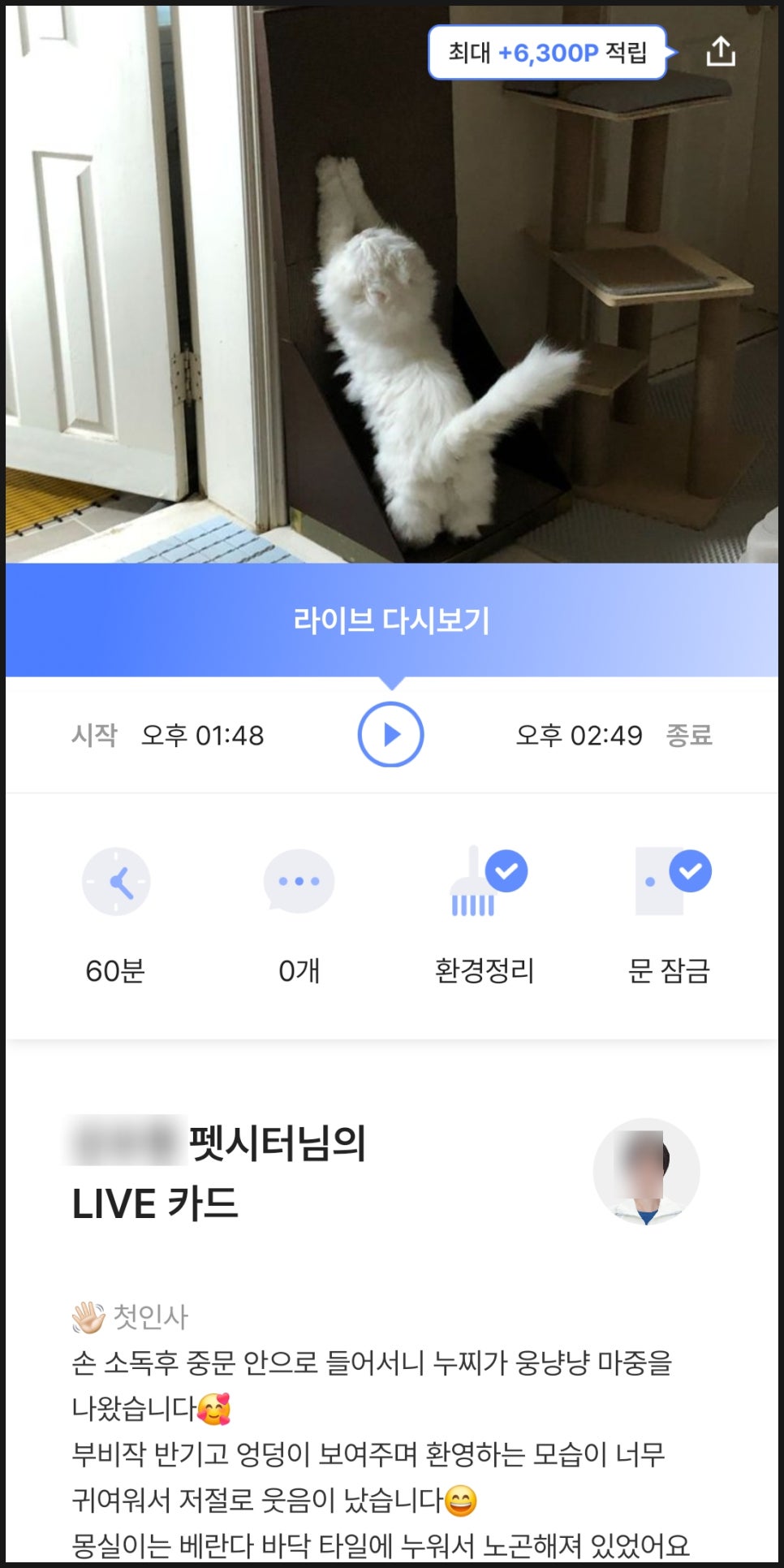 와요 방문탁묘, 강아지 돌봄 비용 및 후기 — 사진 7