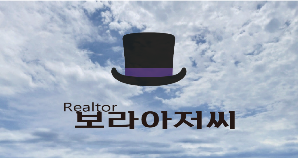 보라개발인력 이미지