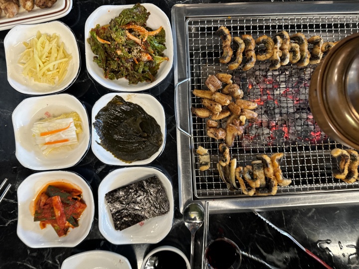 용마그집장어 이미지
