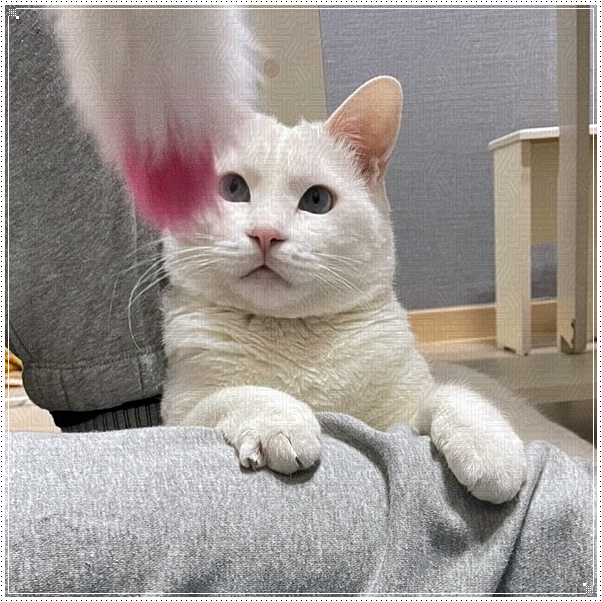 여기카페 이미지