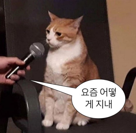 아임파인 이미지