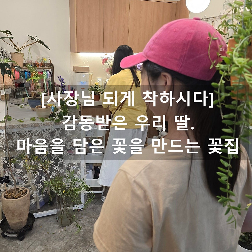 옐로즈 이미지