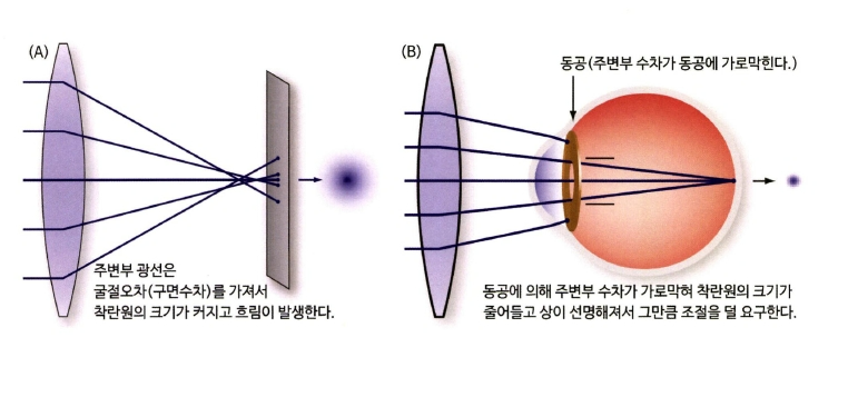 더브렌즈 이미지