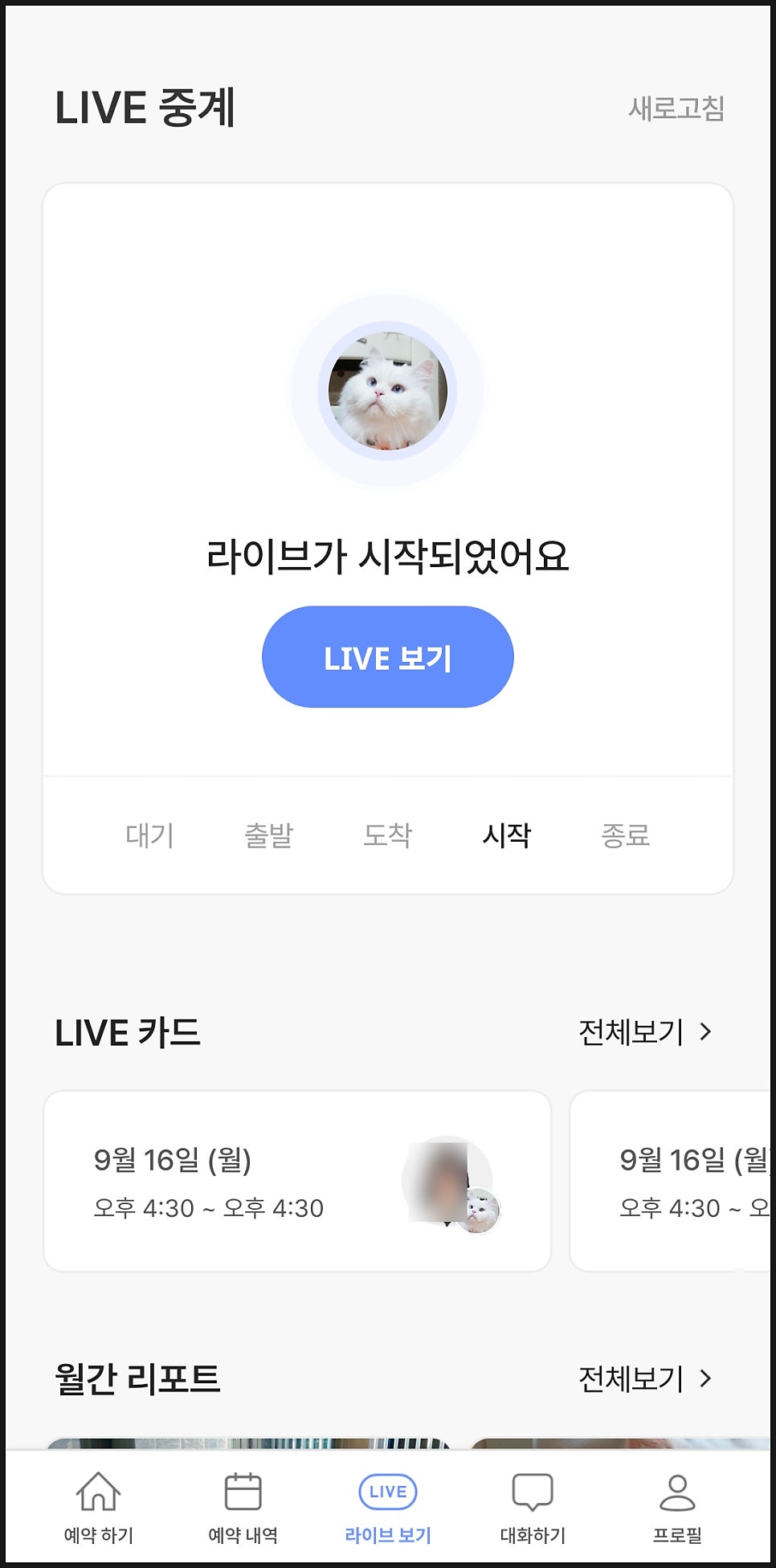 와요 방문탁묘, 강아지 돌봄 비용 및 후기 — 사진 5