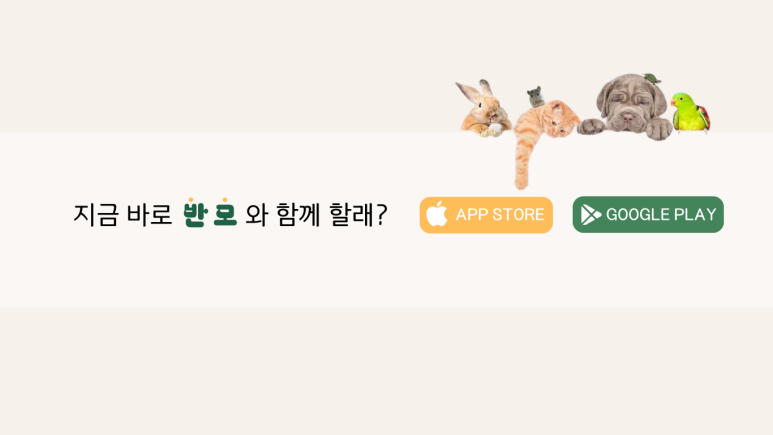 페이지팩토리 이미지