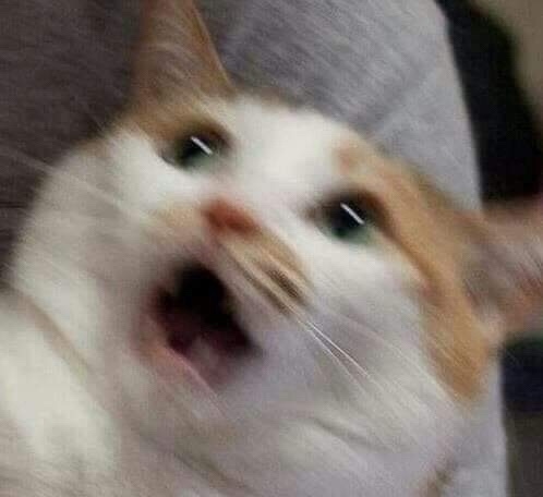 헬로우뷰티플 이미지