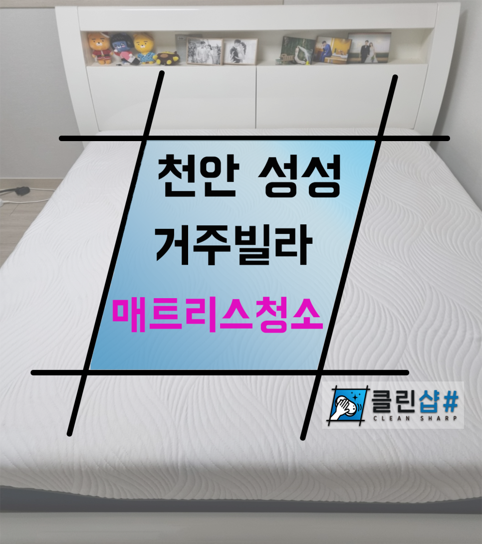 새하얀크리닝 이미지