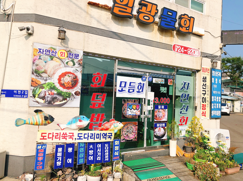 일광물회 이미지