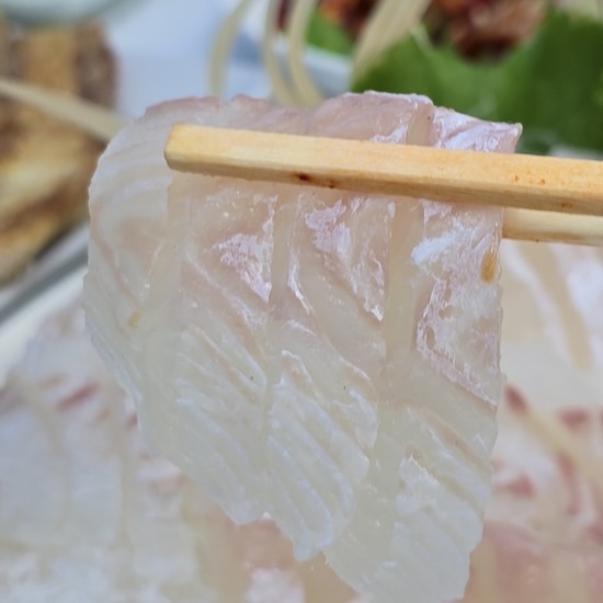 백사장회센타 이미지