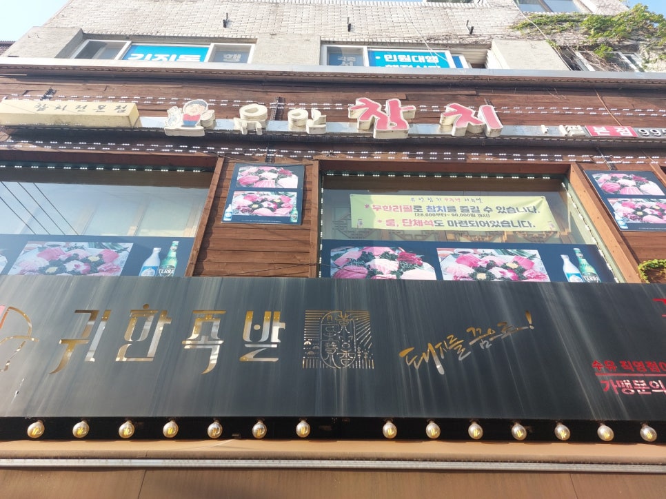 유안참치 이미지