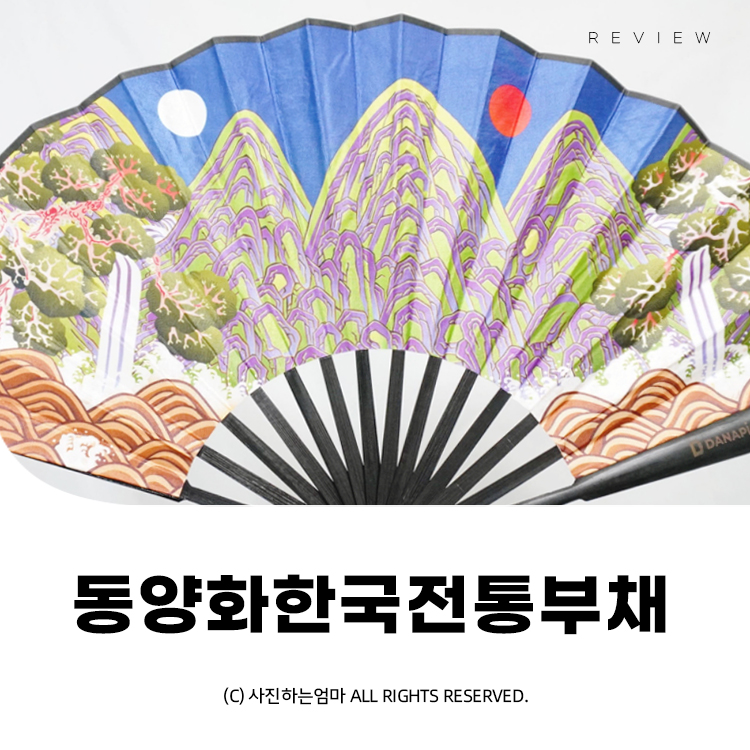 다나픽코리아 이미지