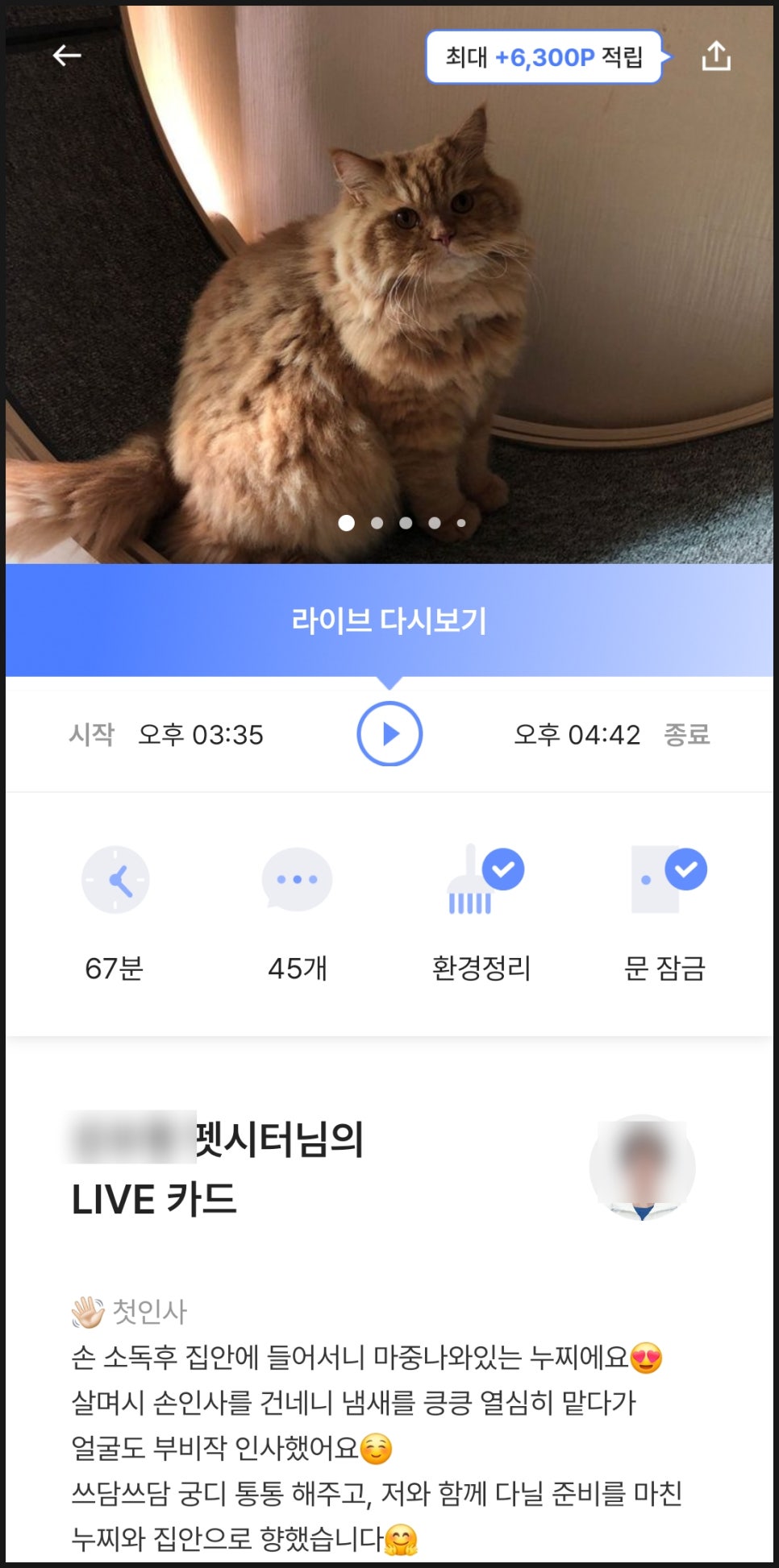 와요 방문탁묘, 강아지 돌봄 비용 및 후기 — 사진 6