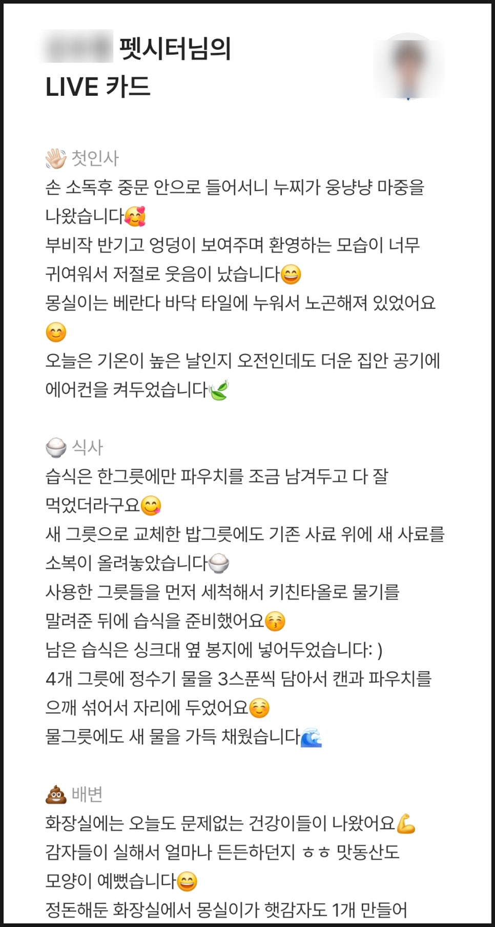 와요 방문탁묘, 강아지 돌봄 비용 및 후기 — 사진 13