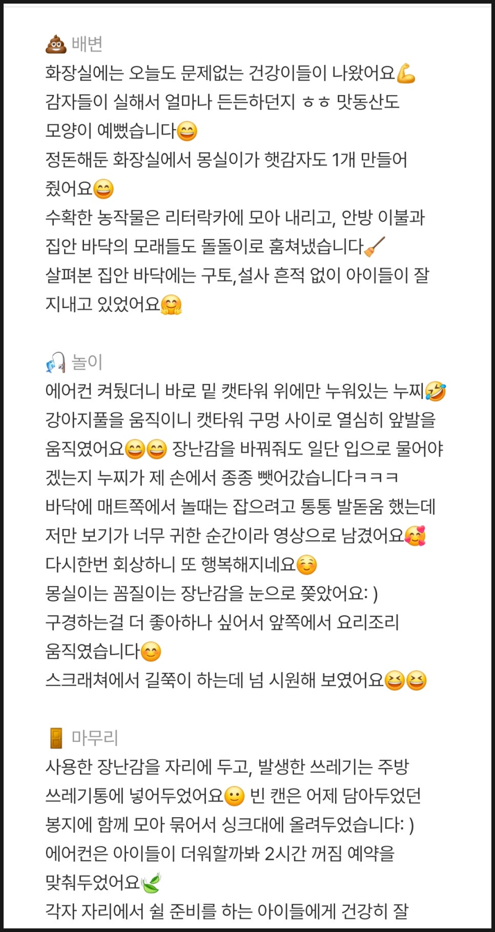 와요 방문탁묘, 강아지 돌봄 비용 및 후기 — 사진 14
