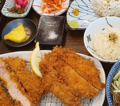 백돈 이미지