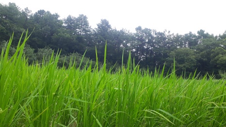 순창군농산물종합가공센터 이미지