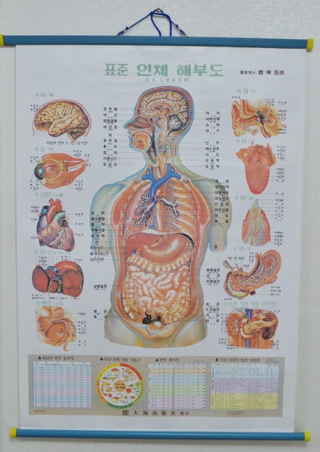 한국피부체형관리사교육원 이미지