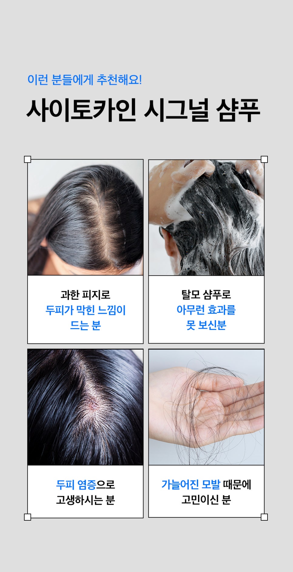 헤어72 이미지